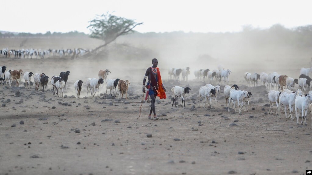 Herders in Tanzania